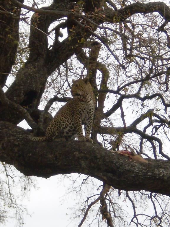 Manzini River House - Mjejane Private Game Reserve, Greater Kruger National Park Hectorspruit Exterior foto