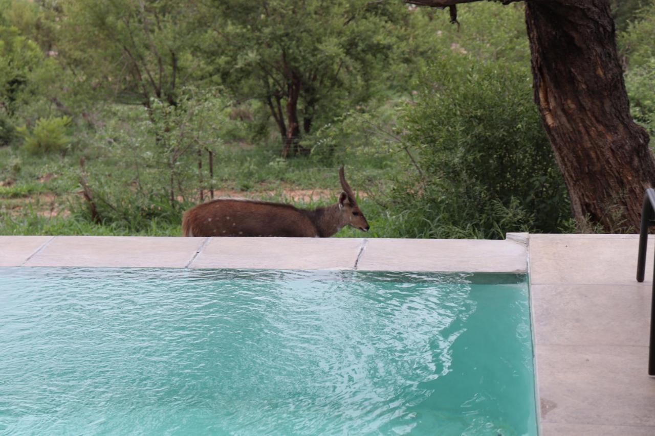 Manzini River House - Mjejane Private Game Reserve, Greater Kruger National Park Hectorspruit Exterior foto